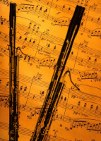 /album/instrumentos-orquesta/fagot-gif/